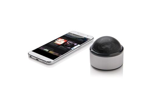 Belaidis garsiakalbis