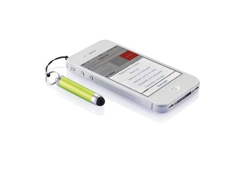 Tušinukas, raktų pakabukas