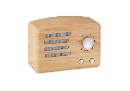 Belaidis garsiakalbis