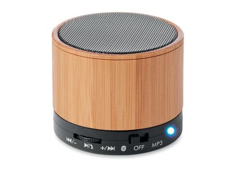 Belaidis garsiakalbis