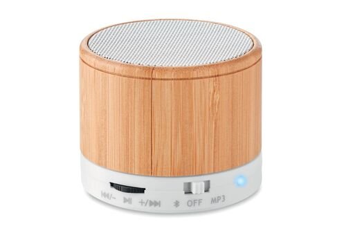 Belaidis garsiakalbis