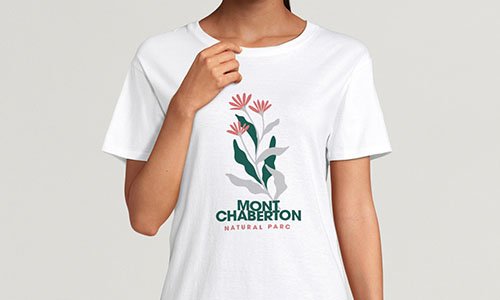 Šilkografinio perkėlimo pavyzdys 2